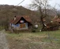Cheile Cibului Foto Daniel Guță ADEVĂRUL (91) JPG