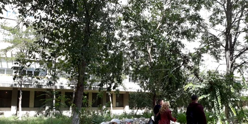 gunoaie spital