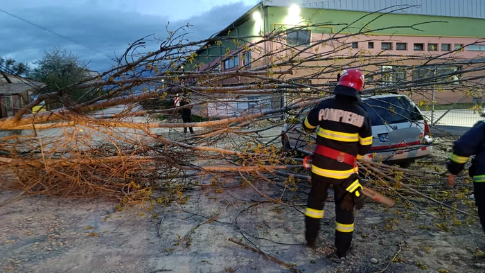 sursă foto, ISU Hunedoara