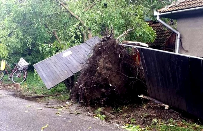 Fenomenele meteo extreme sunt cauzate de încălzirea globală