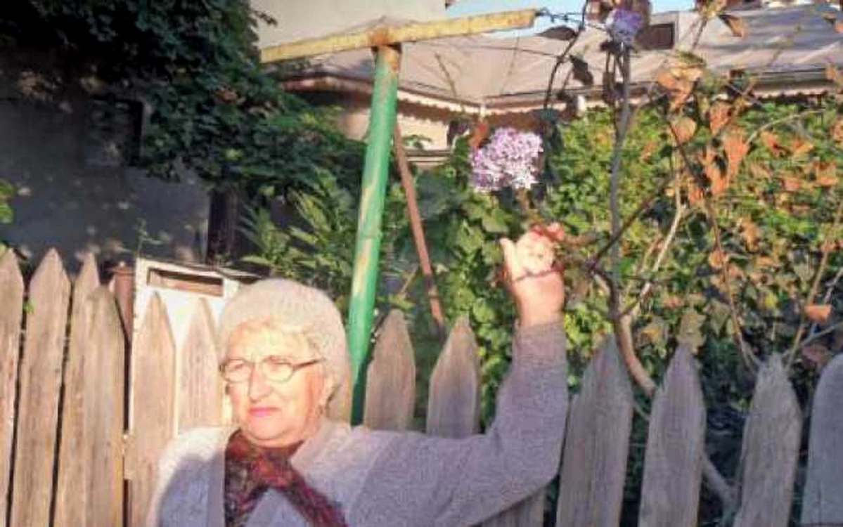 Ana Breană, din Focşani, arată spre liliacul înflorit din faţa casei sale