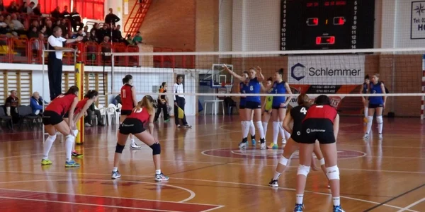 volei csm