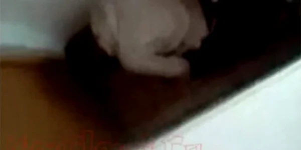 sex baie