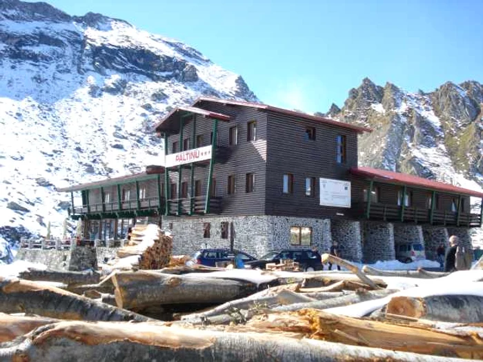 cabana paltinul6