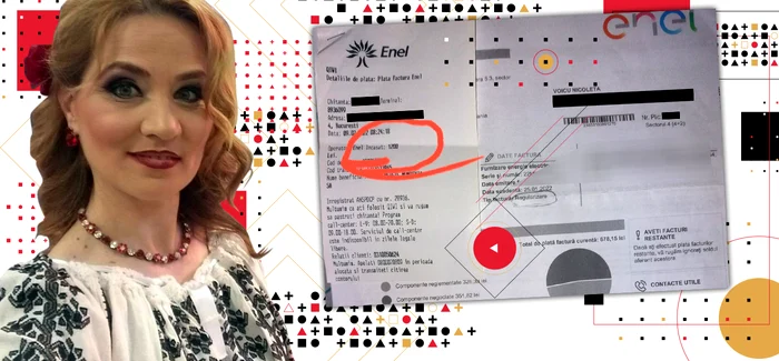 cub nicoleta voicu png