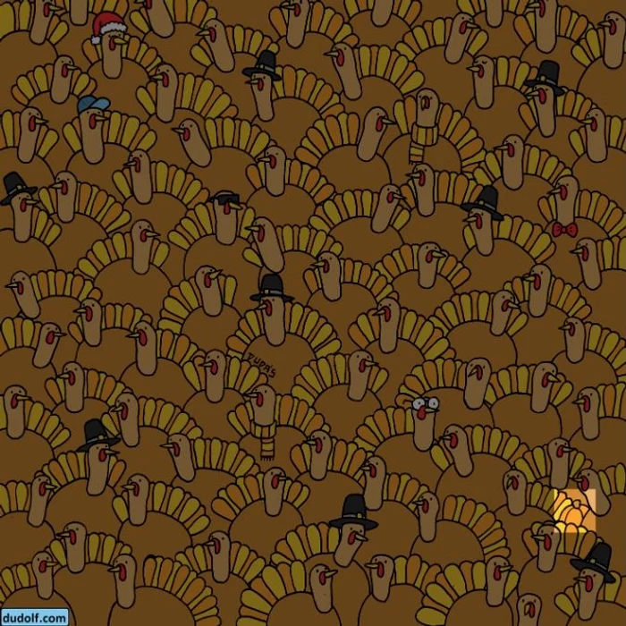 Rezolvarea testului / foto: Dudolf