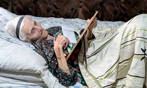 Noja Paladia jpg