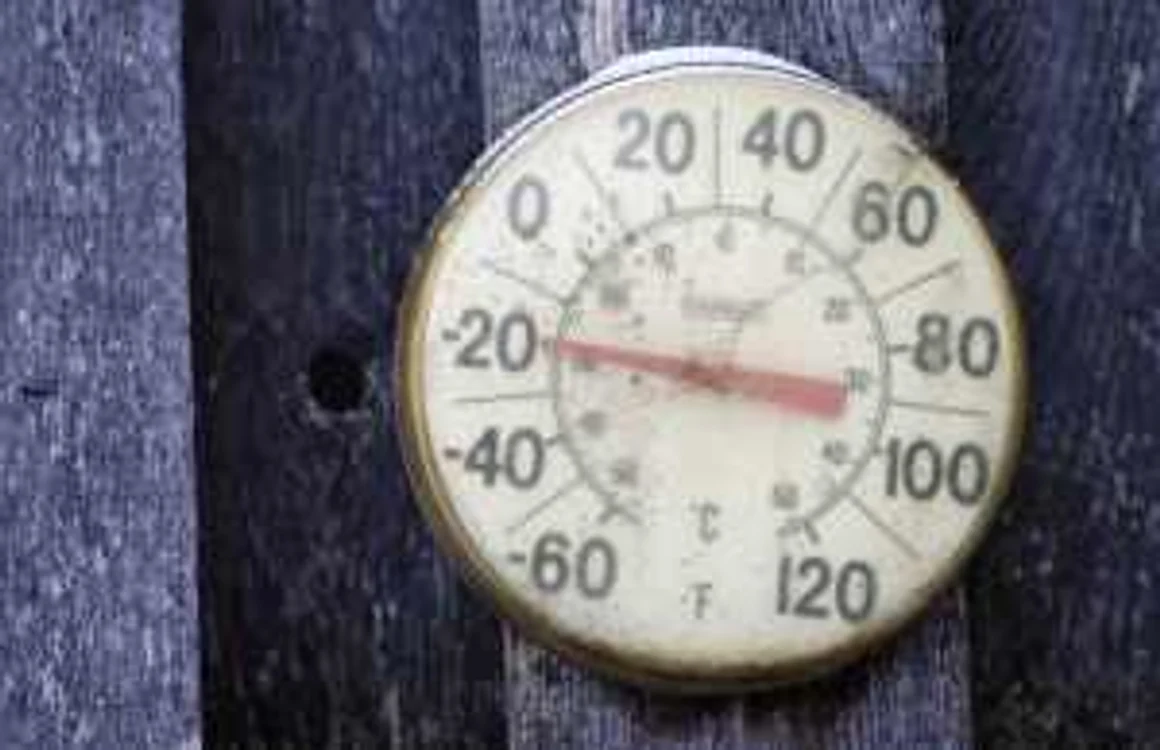 Vor fi temperaturi de până la 20 de grade FOTO arhivă Reuters