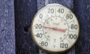 sua ger iarna vortex polar FOTO Reuters