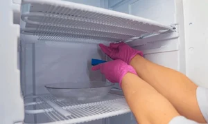 frigider shutterstock1 jpeg