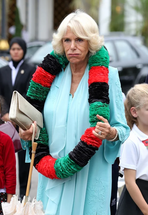 The Prince Of Wales & Duchess Of Cornwall Visit Singapore, Malaysia, Brunei And India   Day 4 jpeg