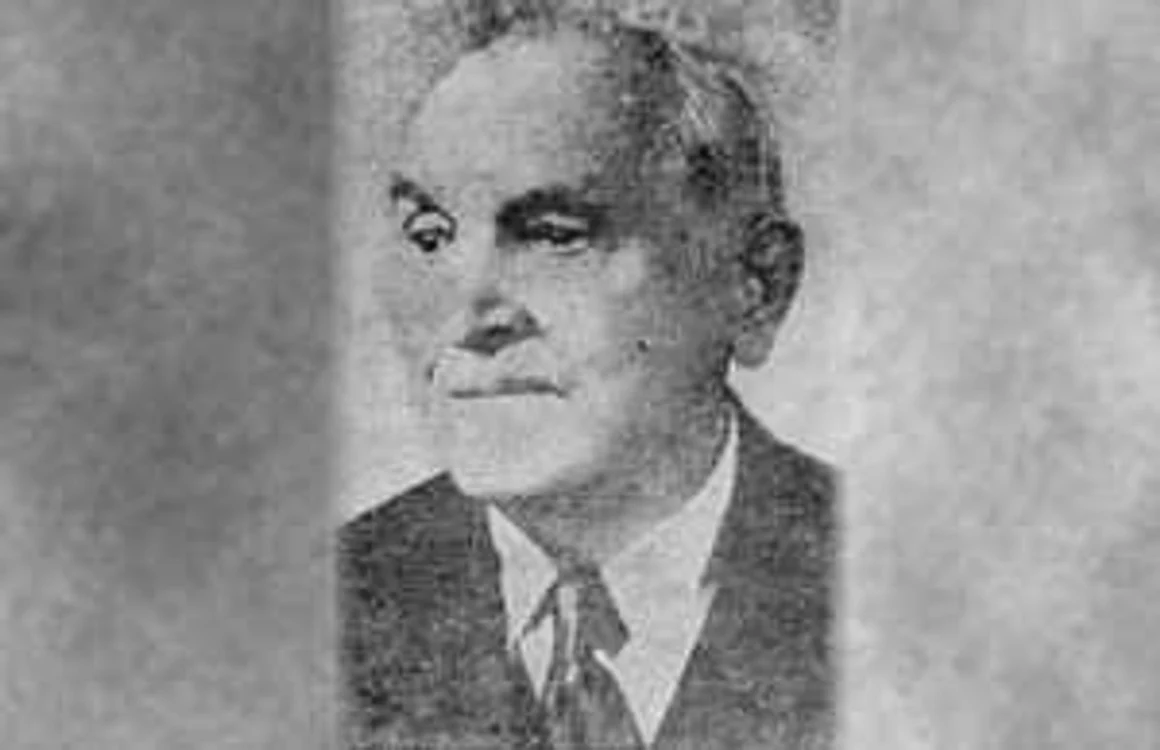 alexandru borza