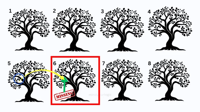 Dacă nu ai reușit să rezolvi, aceasta este soluția