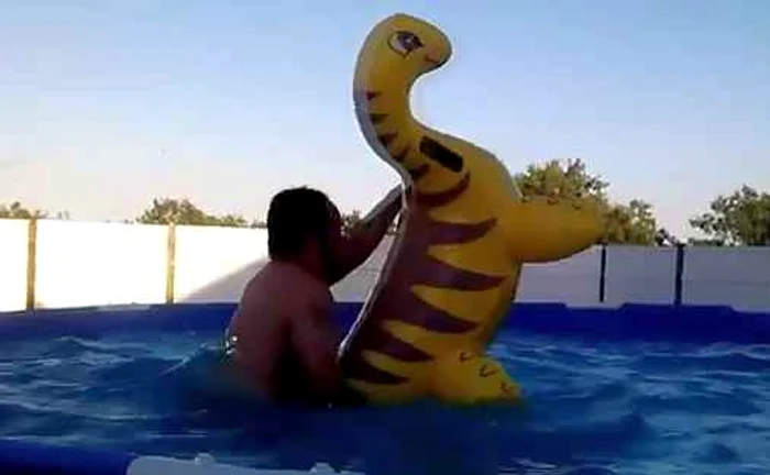 
    Ţestoasa nu se lasă nicicum încălecată.  