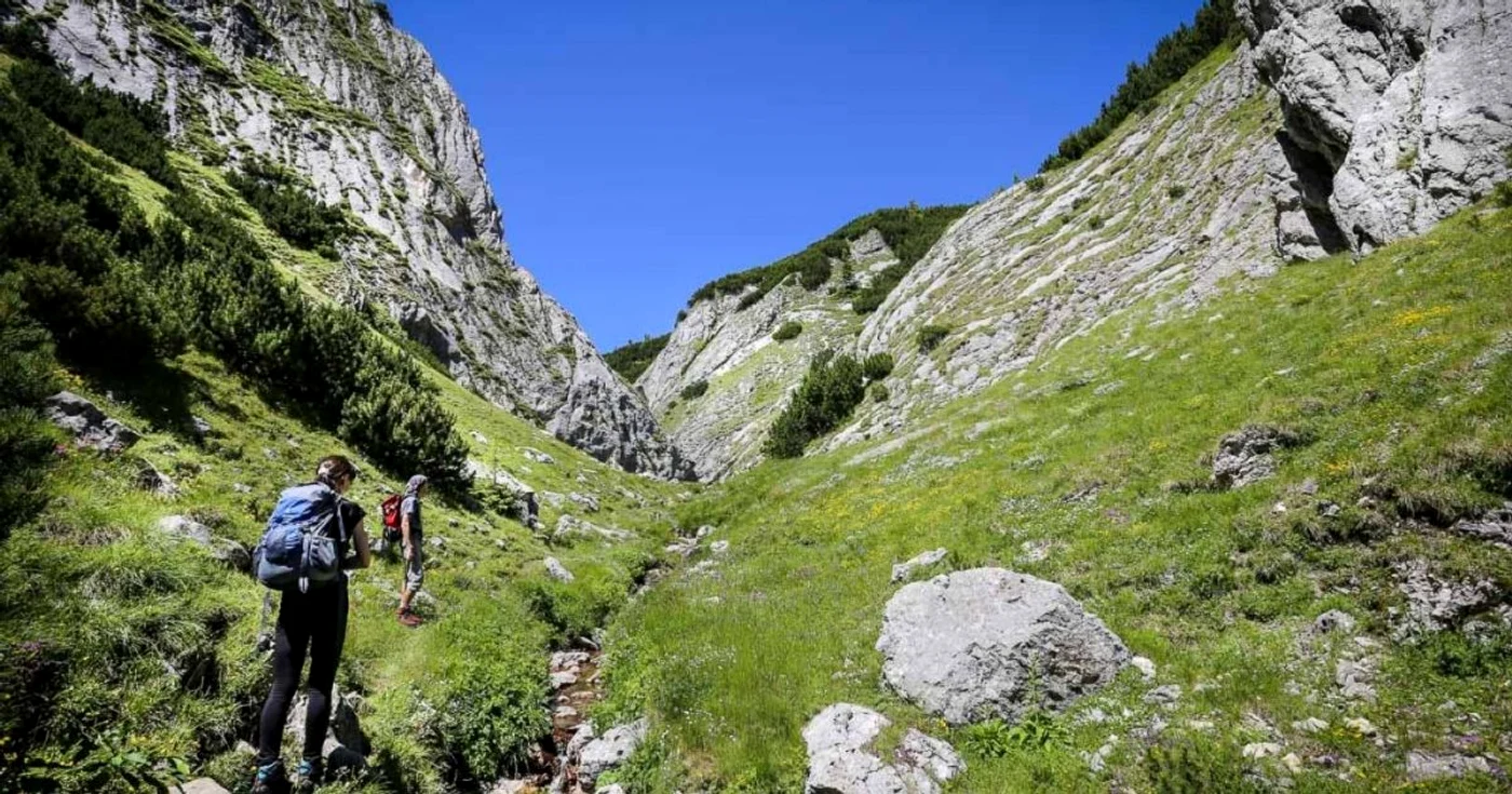 valea horoabelor