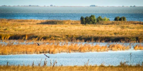 Jurilovca Delta Dunării Tulcea Dobrogea Sursa Facebook Visit Jurilovca