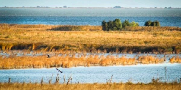 Jurilovca Delta Dunării Tulcea Dobrogea Sursa Facebook Visit Jurilovca 