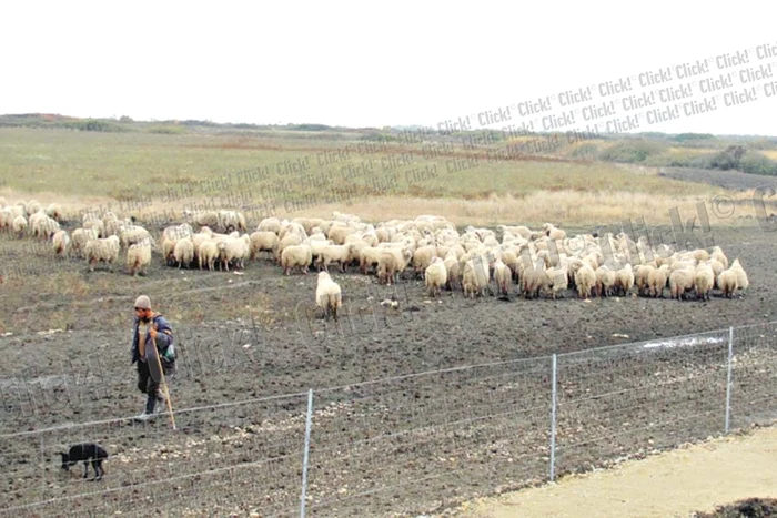 Primul tronson din autostrada Timişoara-Lugoj
