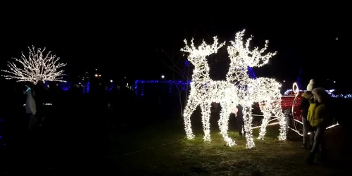 5a21ca8a5ab6550cb8bf3896 jpg