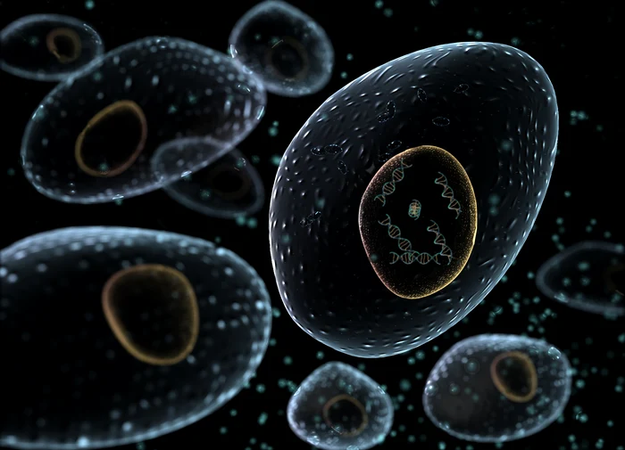 De ce recidivează cancerul chiar și după tratamente.