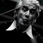 Celi Foto Fundatia Sergiu Celibidache webp