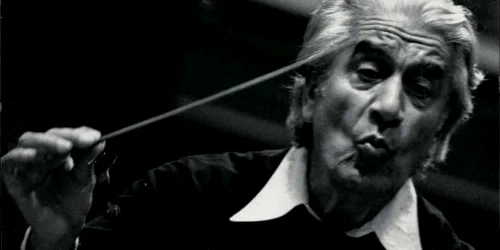 Celi Foto Fundatia Sergiu Celibidache webp