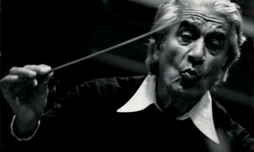Celi Foto Fundatia Sergiu Celibidache webp