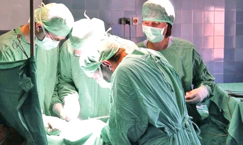 6 act baza transplant plaman adevarul jpeg