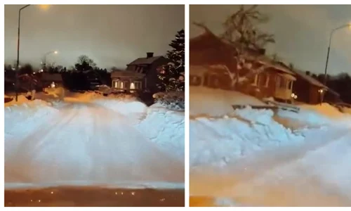 suedia jpg