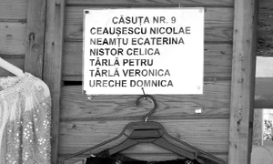 Cu ochii n 3,14 jpeg