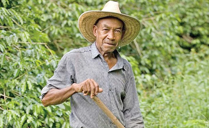 În urmă cu doi ani, armata a descoperit 10 milioane de dolari ascunse în spatele unei colibe