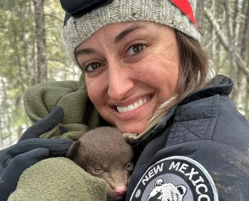 Se caută să se angajeze persoane care să îmbrățișeze urșiFoto:New Mexico Department of Game and Fish