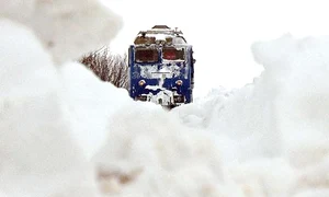 tren 0 jpeg