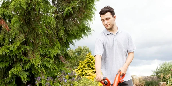 Trimmer electric sau coasă electrică cu fir pentru tuns iarbă, gazon Foto Gardening Naturally jpg
