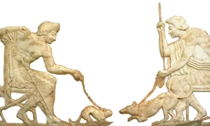Animale de companie aveau şi vechii greci jpeg