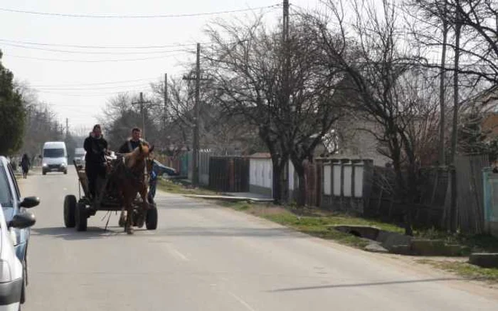 Localnicilor din comuna Osica de Sus nu le vine să creadă că la ei în comună s-ar fi aflat un seif plin cu ''bogăţii''  (FOTO: Mugurel Manea)