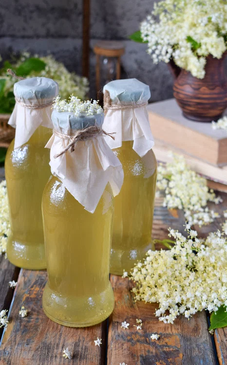 
    Sirop de soc  