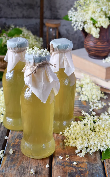 Sirop de soc