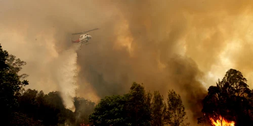 Incedii în Australia FOTO EPA-EFE