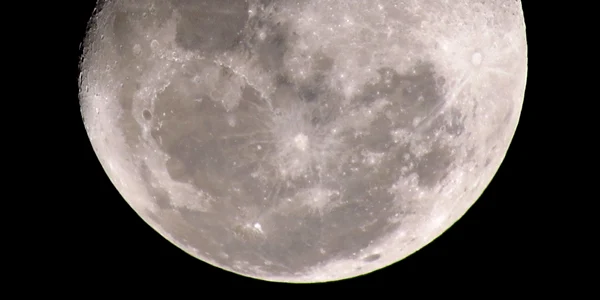 artemis luna profimedia jpg