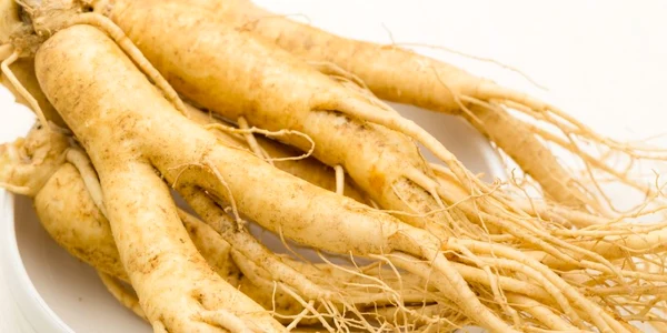 ginseng radacina ginseng Shutterstock