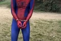spiderman 0 jpeg