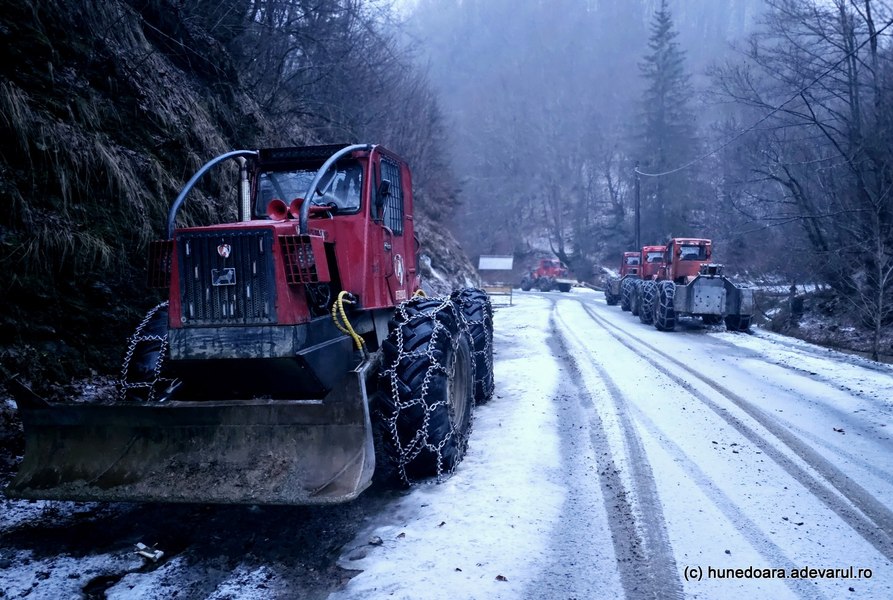 Drumul spectaculos din Munții Poiana Ruscă devastat de alunecări de teren. Se oprește într-o pădure VIDEO