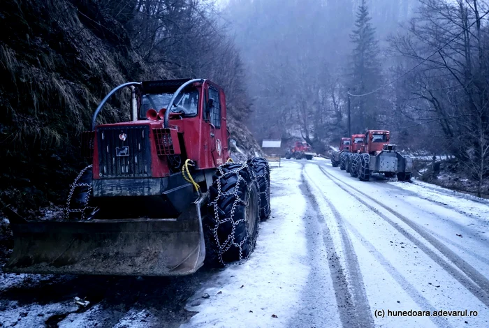 Utilajele forestiere pot fi văzute adesea pe drumul din munți. Foto: Daniel Guță. ADEVĂRUL