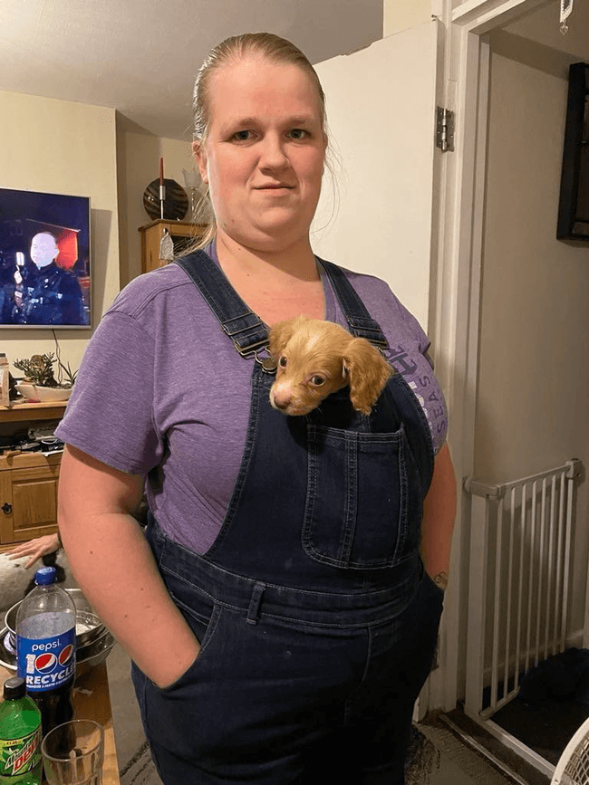 Content image