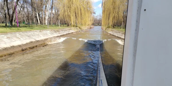 S-au reluat plimbările cu vaporaşele pe Bega FOTO Ş.Both