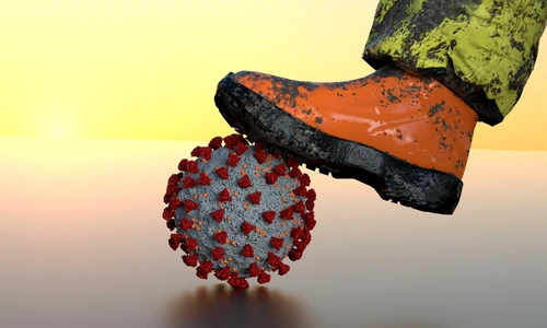 1 shutterstock 1701898762 jpg jpeg