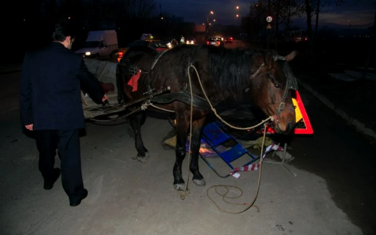 FOTO Adevărul