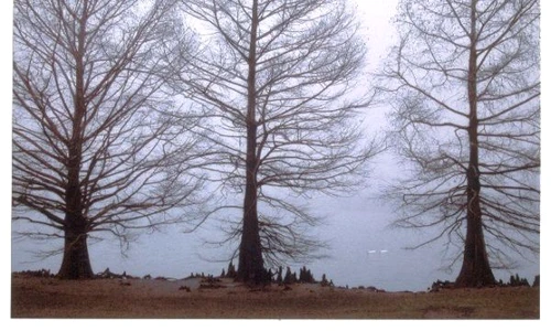 1 82987 original jpg jpeg