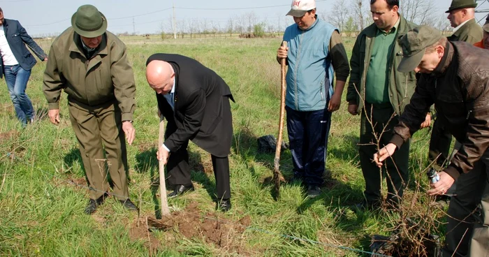 Ultima zi de plantări puieţi de stejar s-a înheiat astăzi